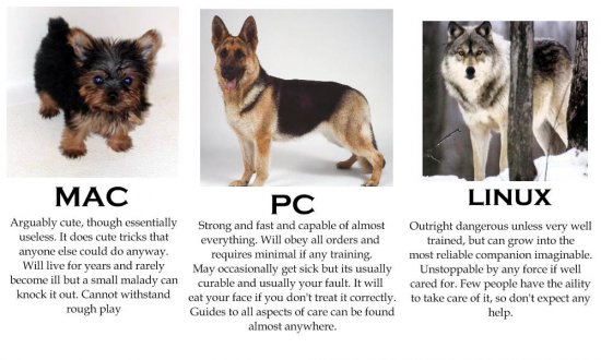 135 - comparison dog linux mac pc vs wolf.jpg