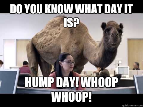 Do-you-know-what-day-it-is-Hump-Day-Meme.jpg